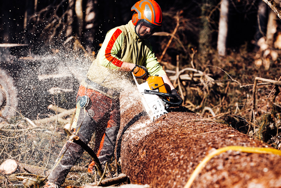 Kettensäge, Waldarbeiter beim Holzarbeiten mit Stihl Kettensäge